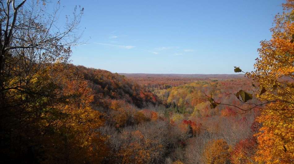 Harbor Springs Chapter - North Country Trail Association