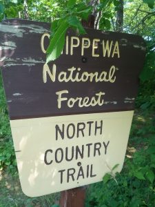 Chippewa National Forest