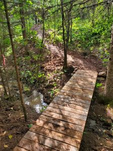 wooden footbridge over stream in the woods